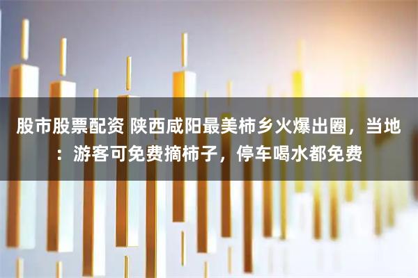 股市股票配资 陕西咸阳最美柿乡火爆出圈，当地：游客可免费摘柿子，停车喝水都免费